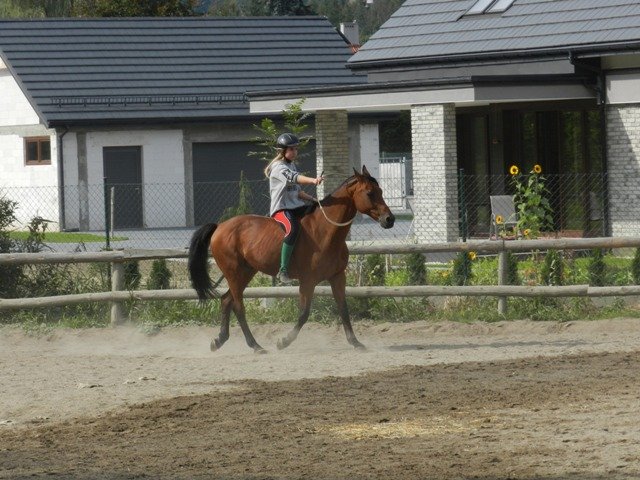 Babie Lato 2016